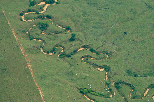 Tributário desmatado do rio Acre. No passado, ele já foi uma linha no meio da floresta. Hoje, é um retrato da devastação que pode se tornar permanente, caso o projeto que altera o Código Florestal seja aprovado como está no Senado. Foto: Margi Moss