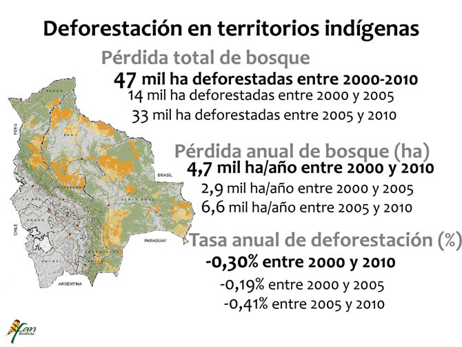 Desmatamento em territórios indígenas. Crédito: FAN Bolivia