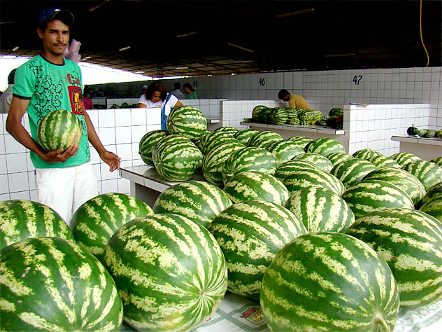 Agricultor vende seus produtos em feira de Juína (MT) (foto: Andreia Fanzeres)