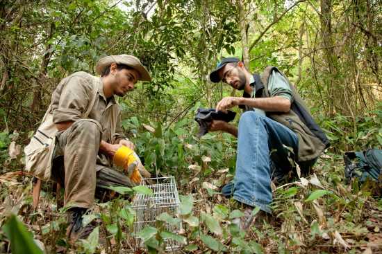 Os pesquisadores em campo