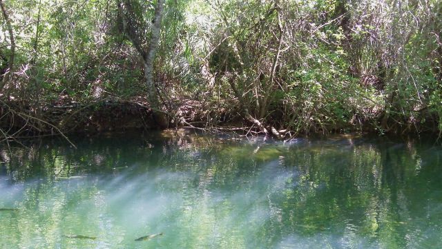 O rio Formoso, essencial para diversas atrações turísticas de Bonito (foto: autor)
