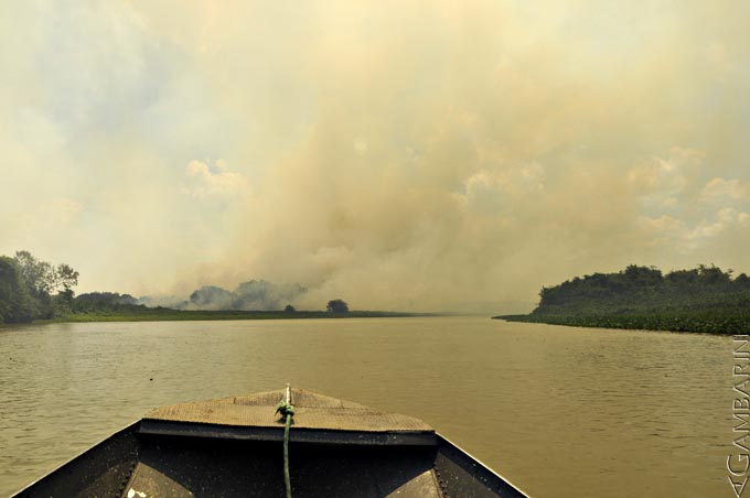 Nuvens de fumaça figuram a morte vegetal, a fuga animal e a estupidez humana. Foto: Adriano Gambarini