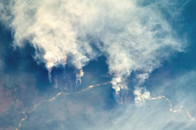 Foto tirada no último dia 17 de setembro mostra grandes áreas de floresta ao longo do Rio Xingu, no trecho em que corta o Mato Grosso, sendo queimadas. A imagem foi feita por astronautas a bordo da Estação Espacial Internacional e divulgada pelo Observatório da Terra da Nasa. Os pontos bege ao longo são bancos de areia demonstrando a temporada de seca na calha do Rio Xingu. Nesta imagem, 63km da calha do rio estão evidentes e a foto foi disponibilizada em formato horizontal para demonstrar as colunas de fumaça. O norte, portanto, está à direita da foto. Clique para ver em alta resolução.  