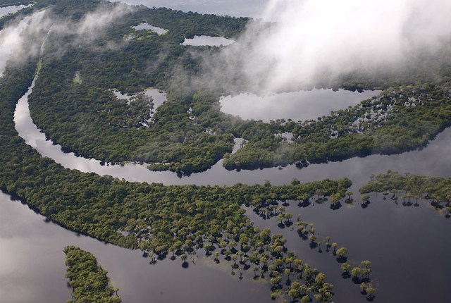 Na Índia, países discutem como proteger a biodiversidade. Acima, visão aérea da Floresta Amazônia. Foto: wikimédia
