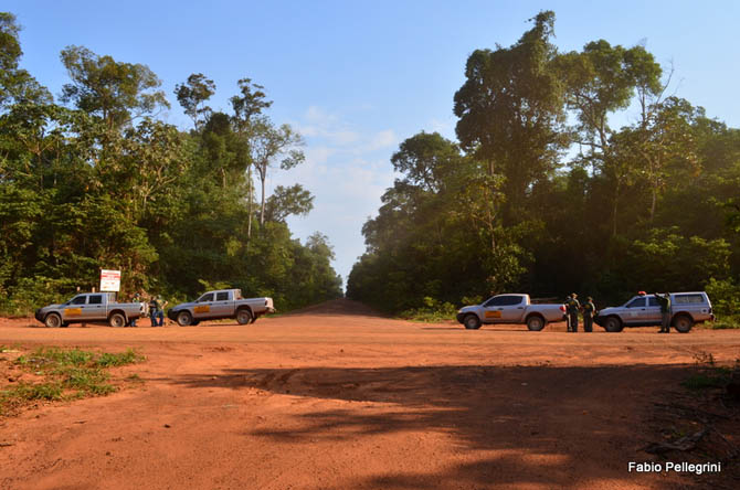 Encruzilhada entre mata e lavoura de soja: equipes dialogam e checam mapas.