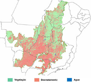 Metade do Cerrado já sumiu do mapa. Imagem: MMA