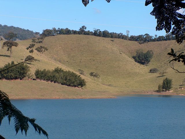 Sem mata o reservatório assoreia e a água cai de qualidade ou acaba. Foto: Eduardo Ditt