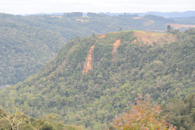 Deslizamentos nas cabeceiras do rio Itajai, na RPPN Refúgio do Macuco, ocorridos em set/2o11. Consequência do desmatamento na borda da chapada realizado em 2005. Repare que o infrator continua desmatando. 17/09/2011. Foto: Germano Woehl Junior