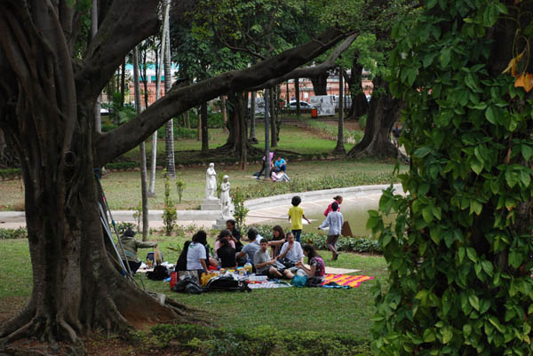 No Passeio Verde, paulistanos abrem os olhos para curtir a natureza da megalópole. Foto: Divulgação