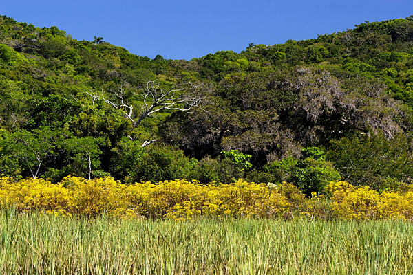 Praia do Lami. Foto: Adriano Becker