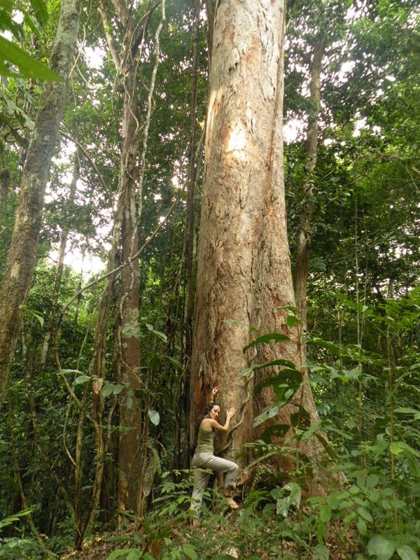 Karina e sua árvore amazônica. Foto: Andrezza Cristine