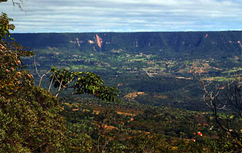 A Chapada do Araripe, lar do soldadinho (Foto: Ciro Albano)