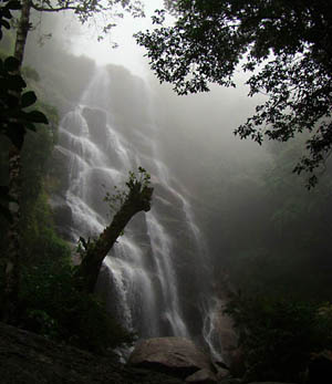 A cachoeira Véu da Noiva é também uma das áreas mais visitadas da parte baixa do parque. (Foto: Andreia Fanzeres)