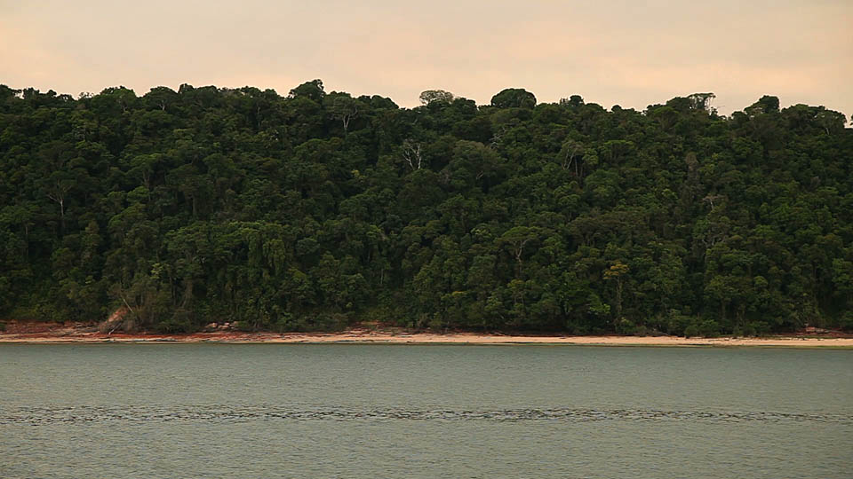 Vista da Floresta Nacional Itaituba 1, na beira do rio Tapajós. (Foto: Fernanda Ligabue)