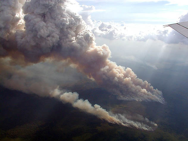 A discussão sobre as emissões de carbono por desmatamento e queimadas criou uma ação global para a conservação de matas tropicais, como a Amazônia. (Foto: Paulo Artaxo/LBA)