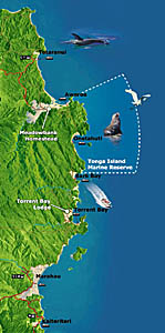 A costa do Tasman pode ser explorada em uma longa caminhada, de até 5 dias, ou com passeios de barco e de caiaque.