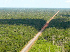 Imagem aérea da BR 319. Pesquisas apontam que 75% do desmatamento na Amazônia ocorreu ao longo de rodovias pavimentadas. (Foto: PPBio – Ministério da Ciência e Tecnologia)