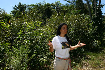 Elisa Wandeli, pesquisadora da Embrapa. (Foto: Alberto César Araújo)