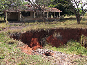 Casa abandonada na área rural de Vazante, com dolina batendo à porta. (Foto: Aldem Bourscheit)