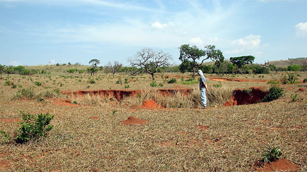 Morador de Vazante na boca de uma dolina, sob o sol do Cerrado. (Foto: Aldem Bourscheit)