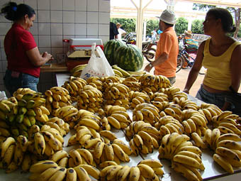 Conhecimento e incentivos à agricultura familiar diminuiriam a dependência de alimentos em Mato Grosso. (Foto: Andreia Fanzeres)