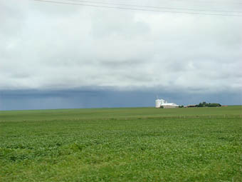 Lavoura de soja no noroeste de Mato Grosso. Agronegócio ocupa 8,6 milhões de hectares no estado. (Foto: Andreia Fanzeres)