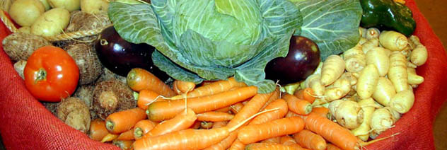 Alimentos produzidos em Santa Maria de Jetibá (ES) (Foto: Assessoria de Comunicação/ Seag/ES)