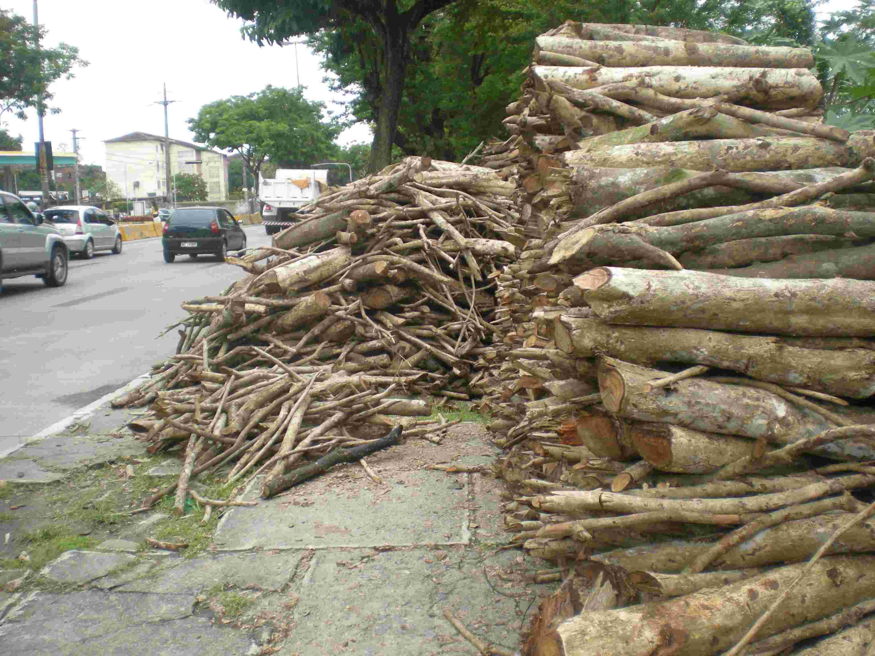 Madeira empilhada em avenida de Recife 